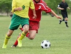 德甲多特遭,遇巨大挑战,赛季已败,超凡国际电子,超凡国际电子平台,超凡国际电子官网,超凡国际电子